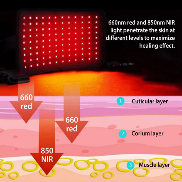 TheraGlow™ Infrared Therapy Belt